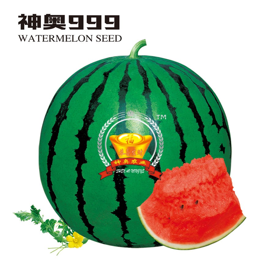 神奥999